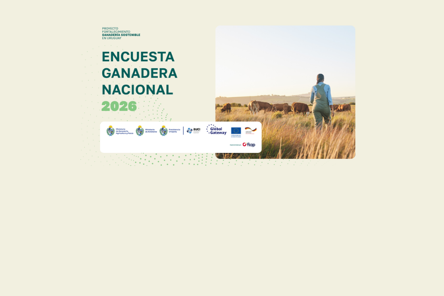 Encuesta