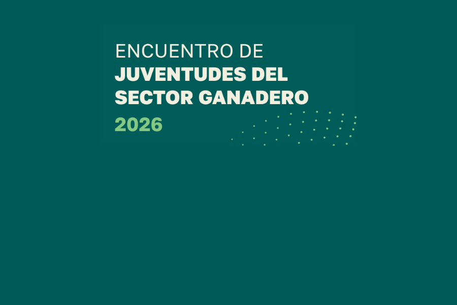 jovenes