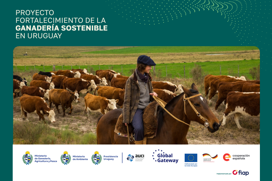 proyecto