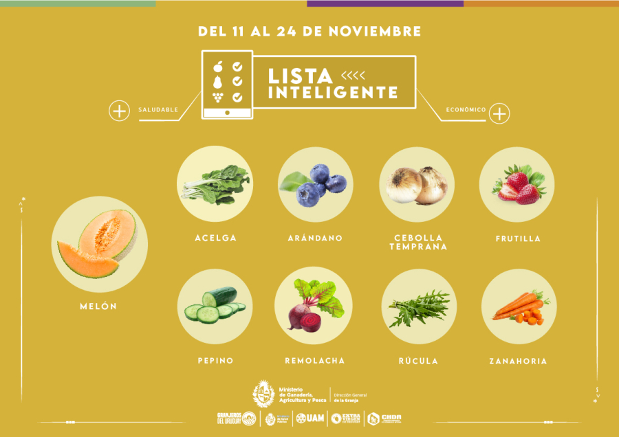 Lista inteligente NOV