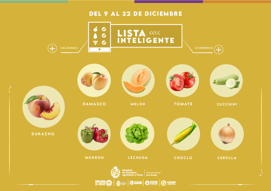 Lista inteligente DIC