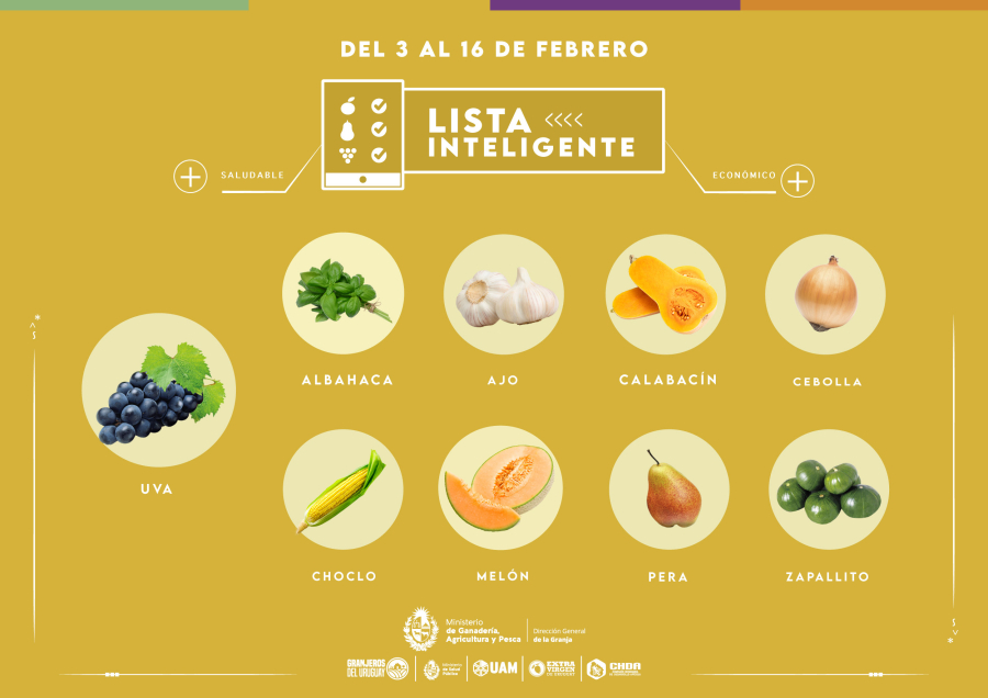 Lista inteligente FEB