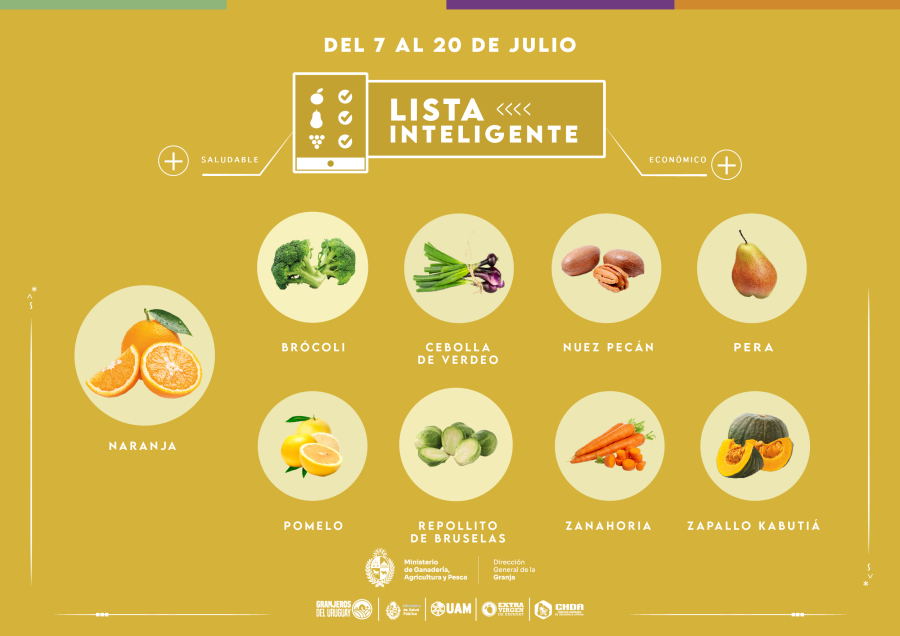 Lista inteligente | JUL