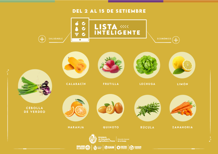 Lista inteligente SET
