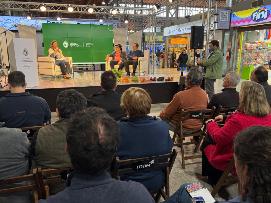 Directora de DIGEGRA hablando