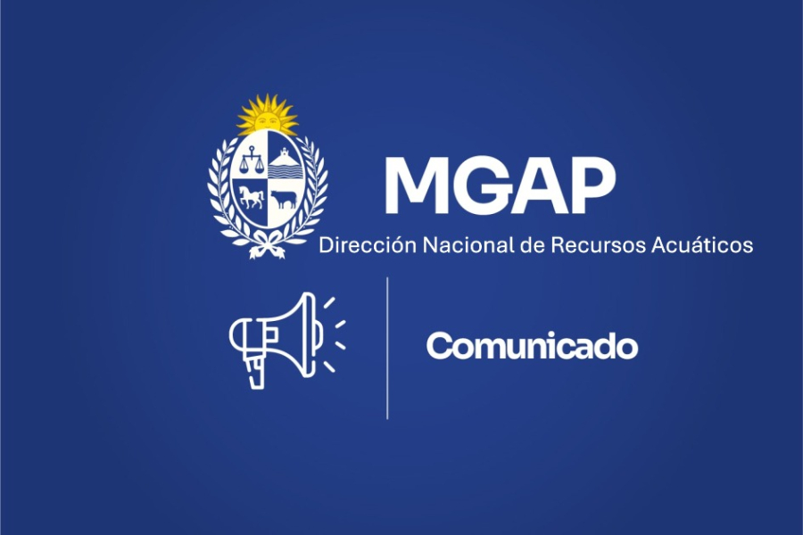 Comunicado
