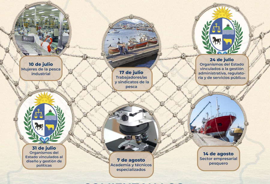 talleres de pesca