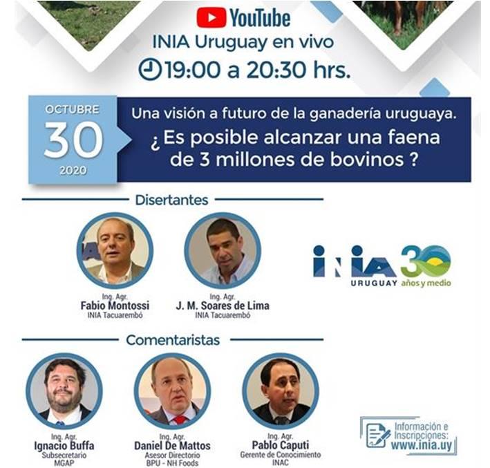 Panel de expertos