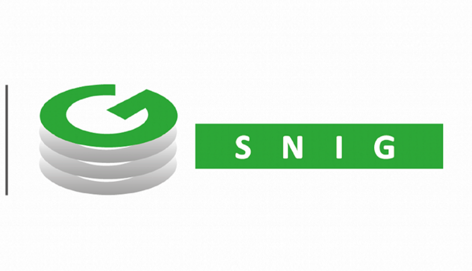 SNIG