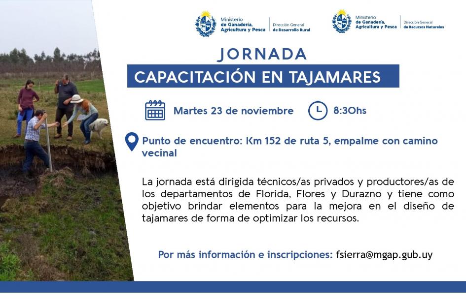 jornada tajamares 23 nov