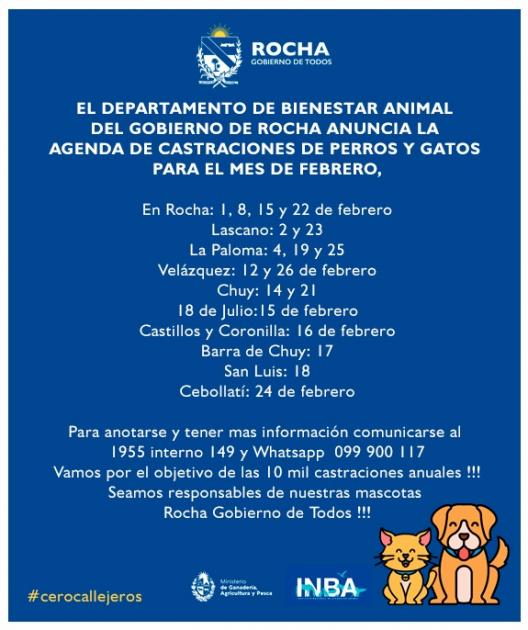 Gobierno de Rocha