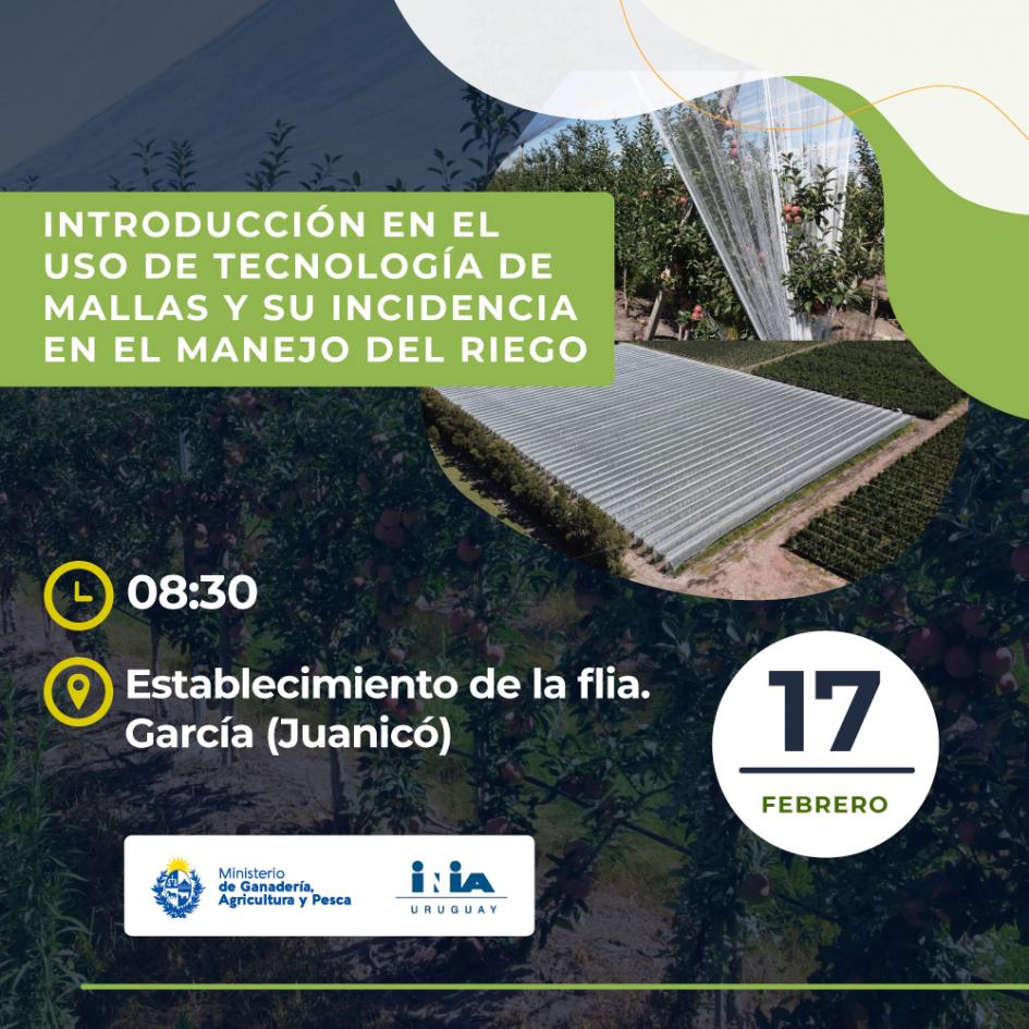 Banner sobre la actividad