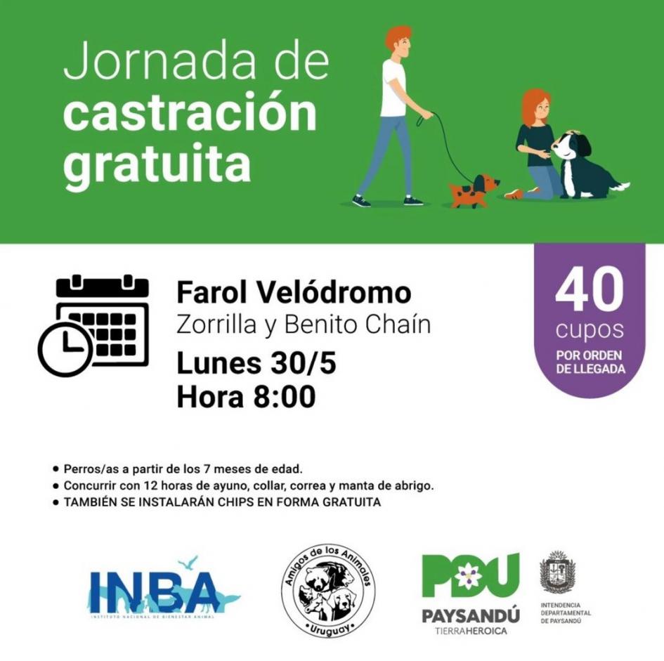 Afiche jornada de castraciones