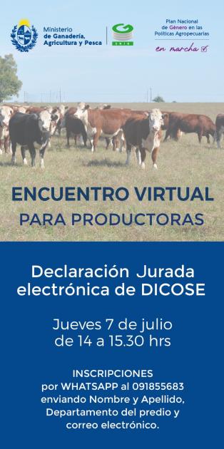 Encuentro Virtual para Productoras Declaración Jurada Electrónica de DICOSE