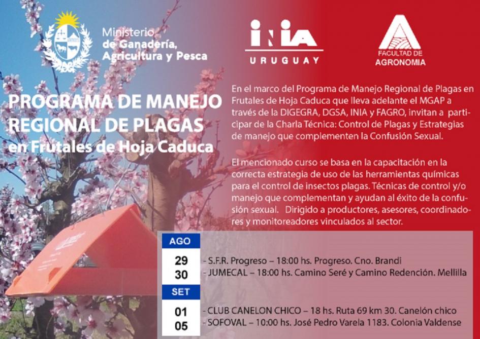 MRP - Curso 2022