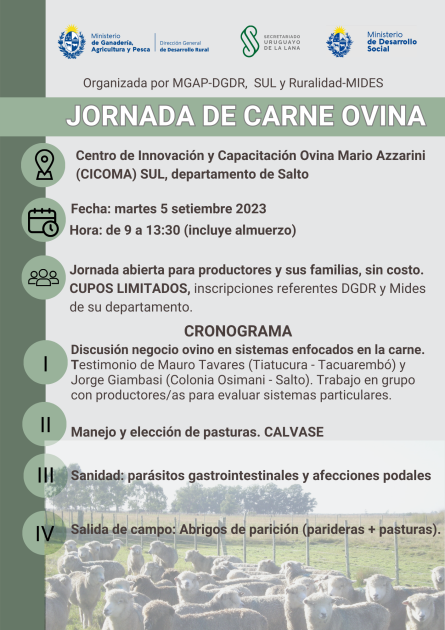 JORNADA OVINA 