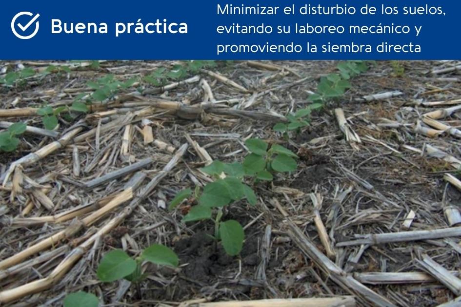 BPA para el cuidado del suelo BPA para el cuidado del suelo