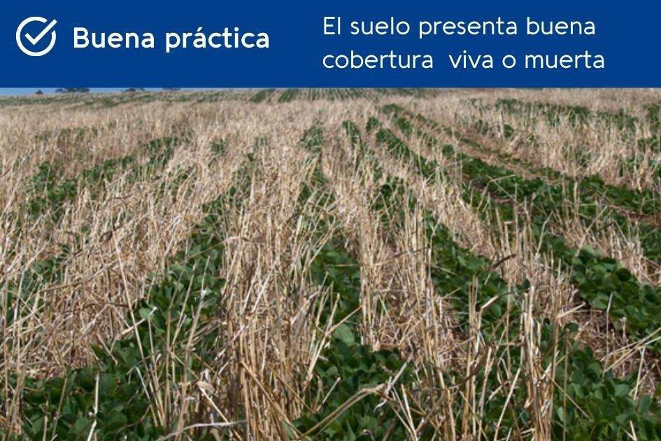 BPA para el cuidado del suelo BPA para el cuidado del suelo