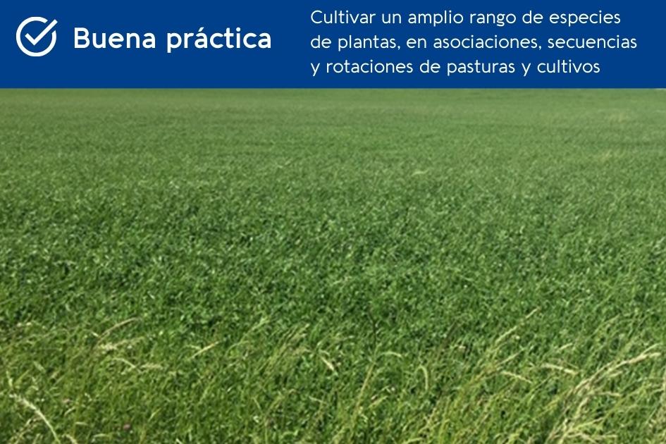 BPA para el cuidado del suelo BPA para el cuidado del suelo