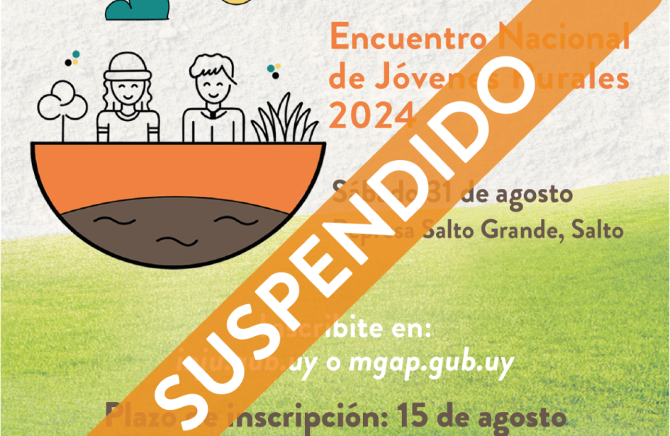 suspendido 31 agosto
