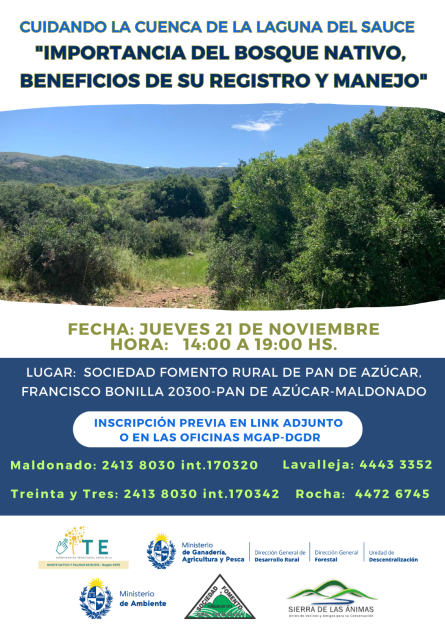 Afiche de la actividad