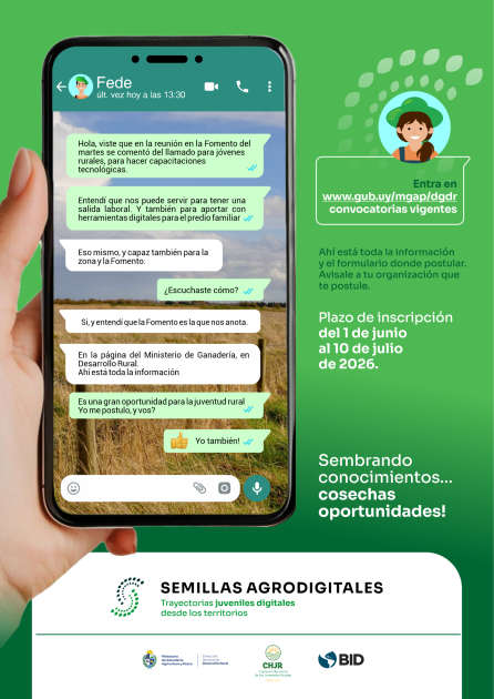 flyer de Whatsapp flyer de Whatsapp
