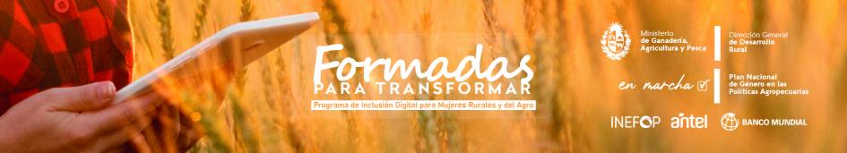 Banner Formadas banner Formadas