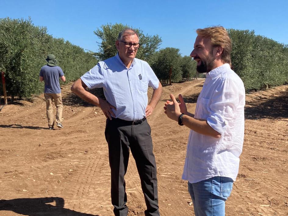 EXPERIENCIAS DE CERTIFICACIÓN AGROFORESTAL EN ESPAÑA EXPERIENCIAS DE CERTIFICACIÓN AGROFORESTAL EN ESPAÑA