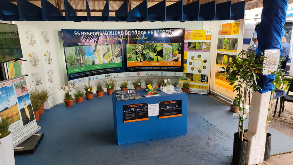 Stand en Expo Salto