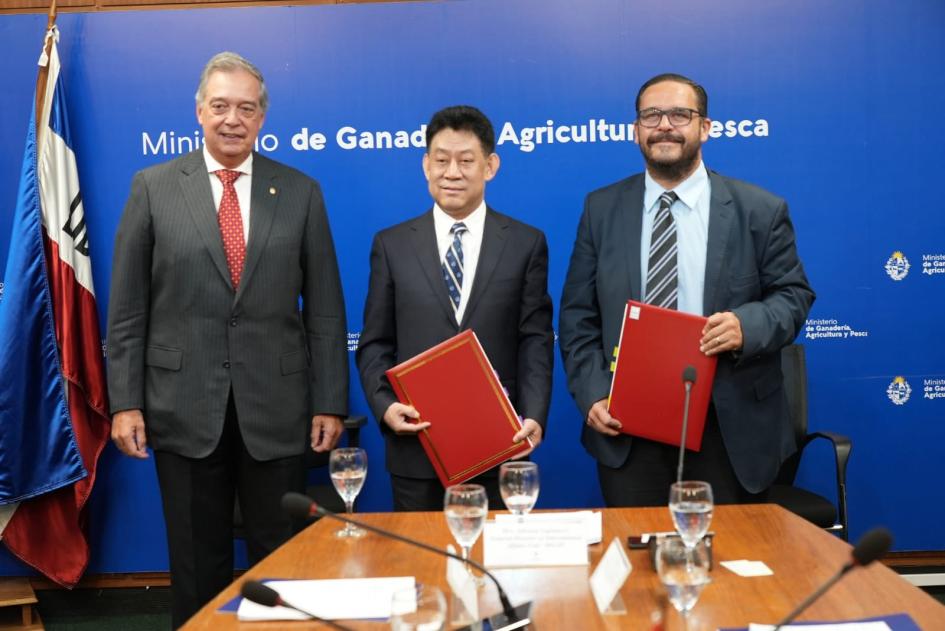Firma de memorando Firma de memorando