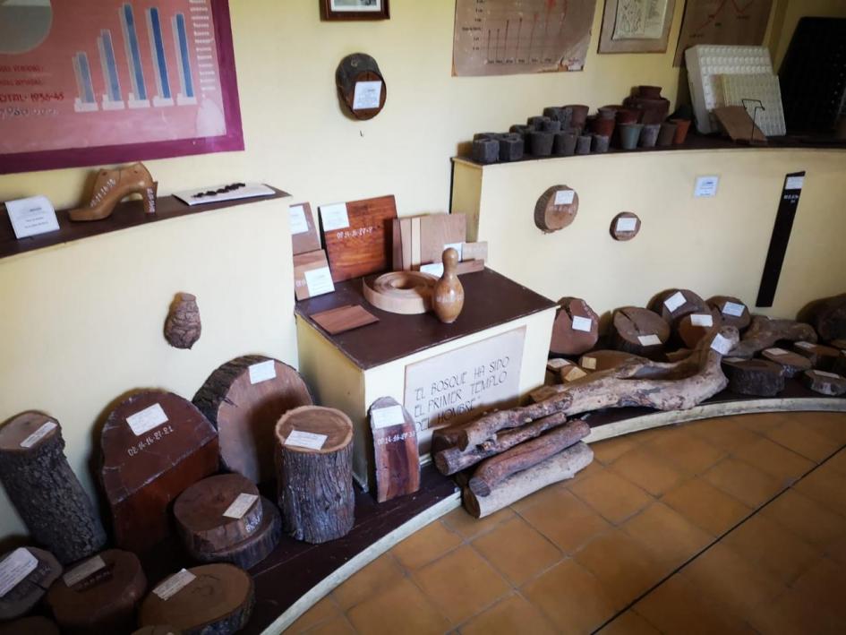 Museo de la madera Museo de la madera