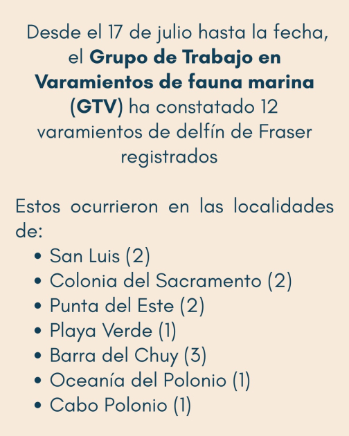 Comunicado: Varamiento de delfines 
