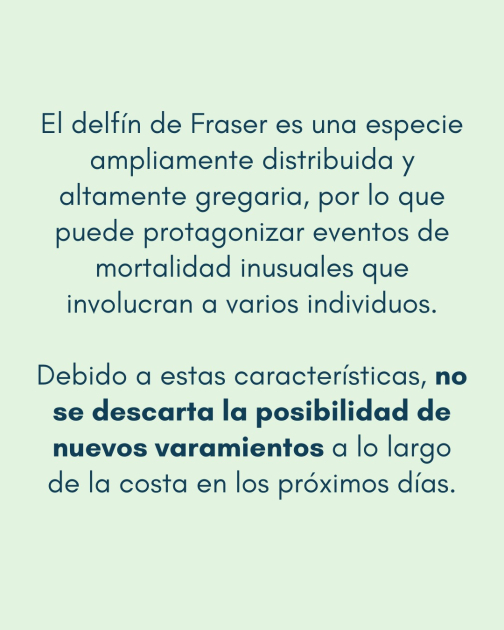 Comunicado: Varamiento de delfines 