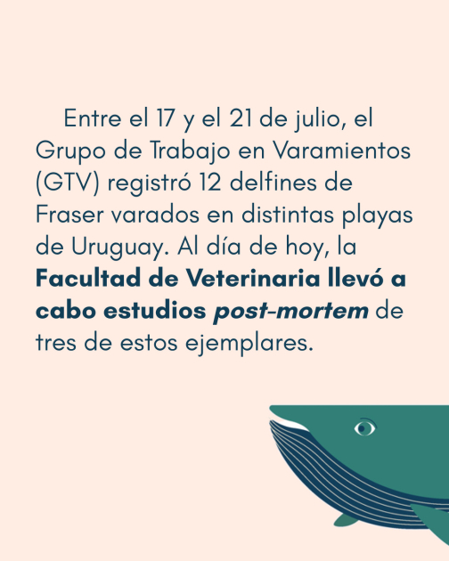 Comunicado: Varamiento de delfines Comunicado: Varamiento de delfines