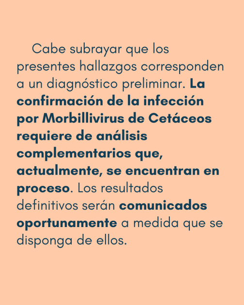 Comunicado: Varamiento de delfines Comunicado: Varamiento de delfines