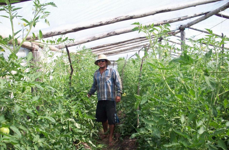 Colombia se suma a la REAF con su Sección Nacional imagen productor hortícola