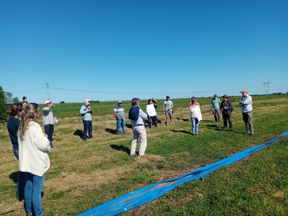 4ta Jornada de promoción de riego: Riego suplementario en pasturas 4ta Jornada de promoción de riego: Riego suplementario en pasturas