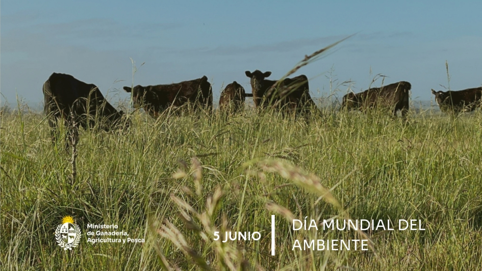 5 de junio - Día Mundial del Ambiente 5 de junio - Día Mundial del Ambiente