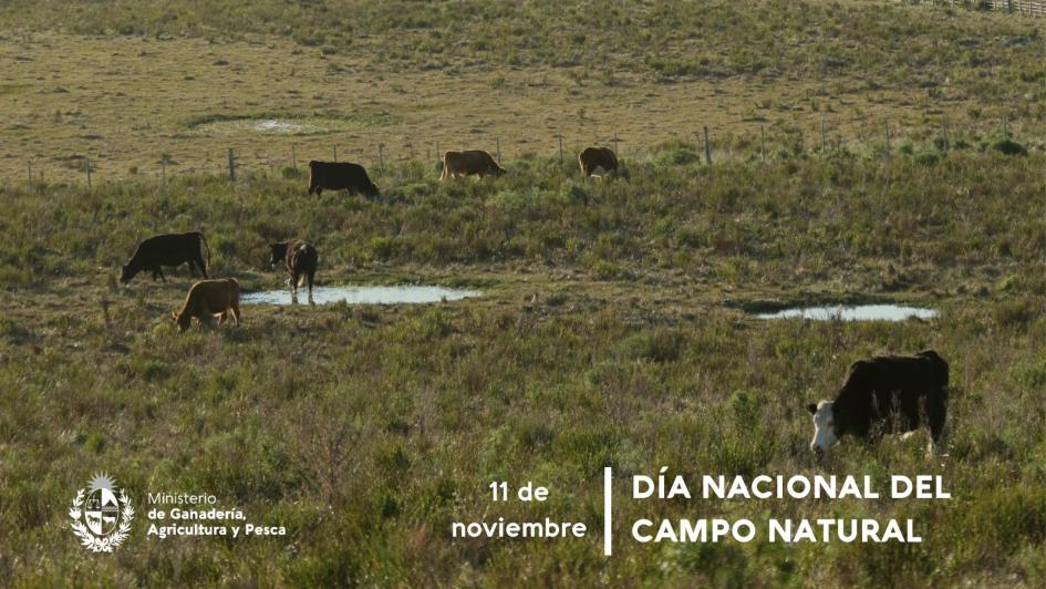 Día Nacional de Campo Natural
