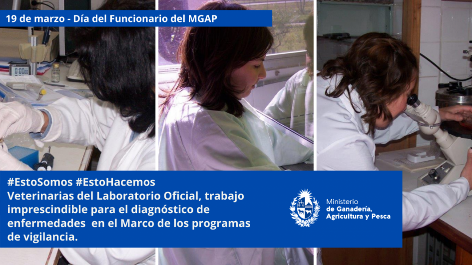 Funcionarios/as del MGAP en plena tarea Funcionarios/as del MGAP en plena tarea
