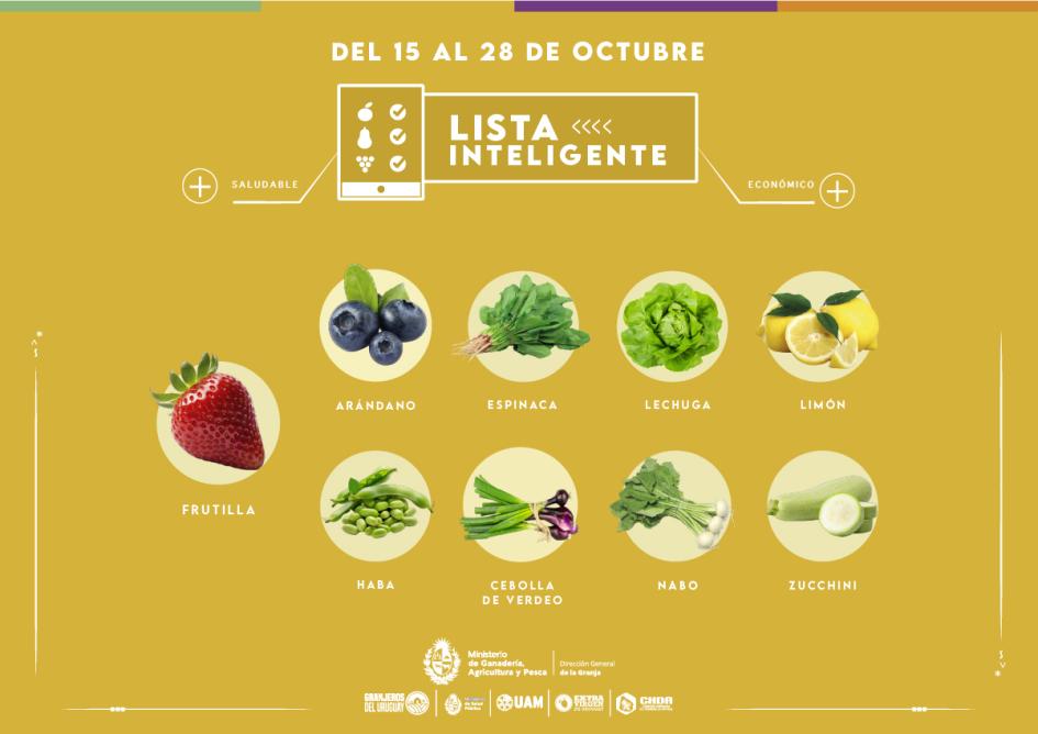 Lista inteligente OCT Lista inteligente OCT