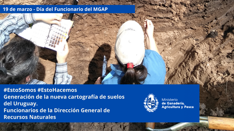 Funcionarios/as del MGAP en plena tarea Funcionarios/as del MGAP en plena tarea