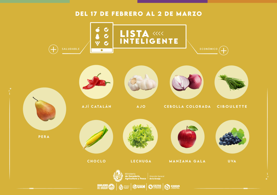 Lista inteligente FEB Lista inteligente FEB