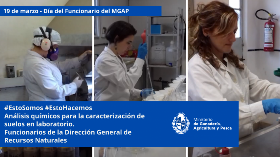 Funcionarios/as del MGAP en plena tarea Funcionarios/as del MGAP en plena tarea