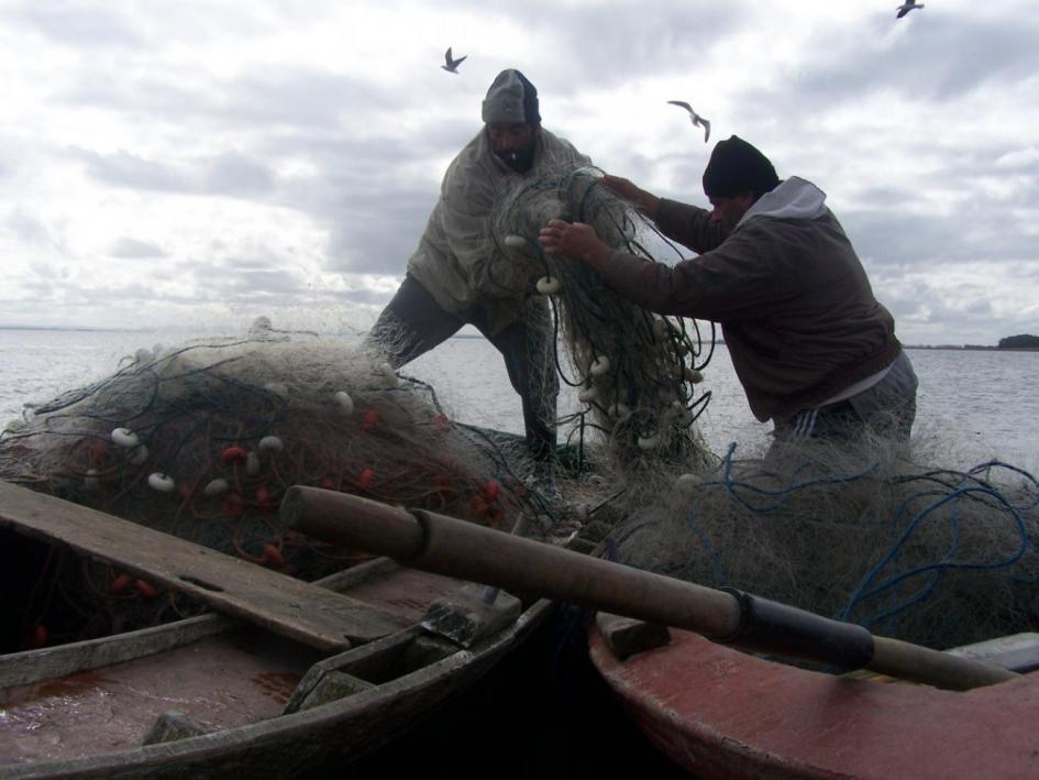 , Pesca artesanal