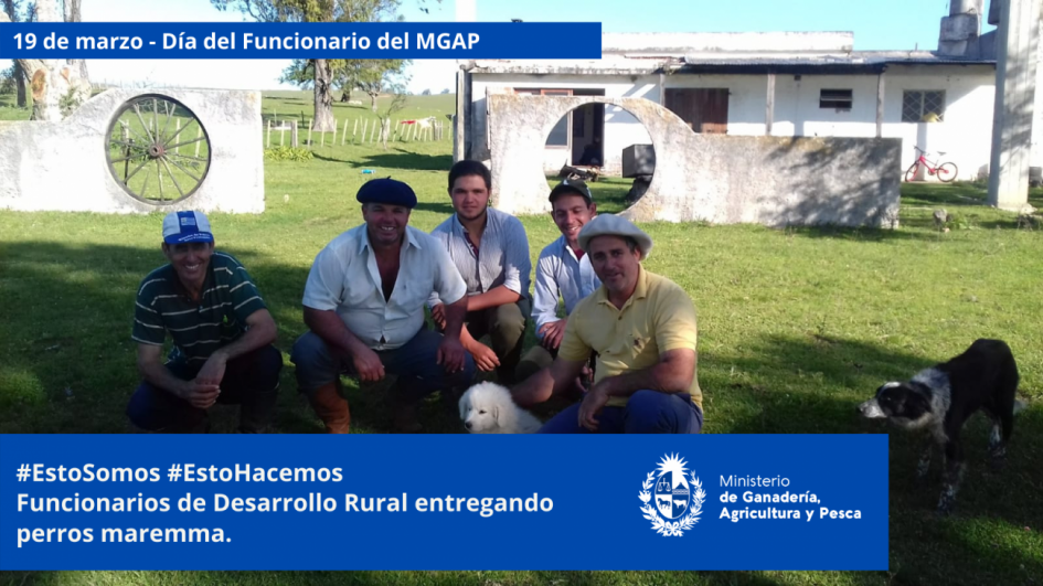 Funcionarios/as del MGAP en plena tarea Funcionarios/as del MGAP en plena tarea