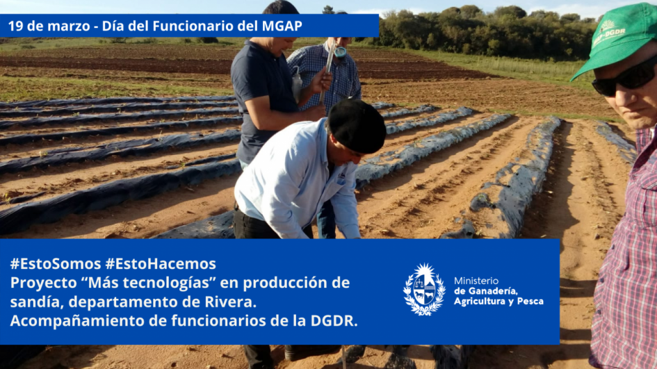 Funcionarios/as del MGAP en plena tarea Funcionarios/as del MGAP en plena tarea