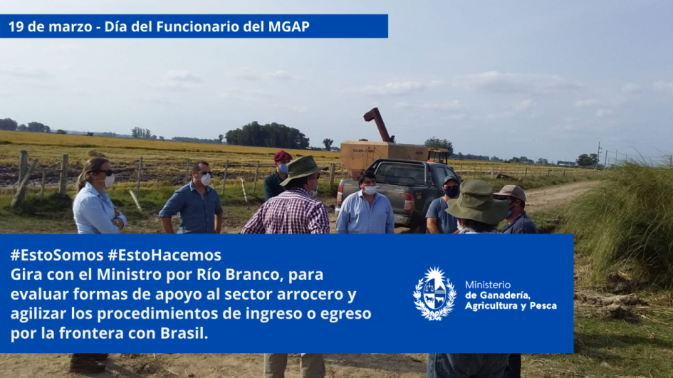 Funcionarios/as del MGAP en plena tarea Funcionarios/as del MGAP en plena tarea