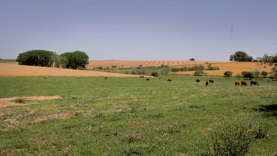 2 de Setiembre – Día Nacional de la Conservación de Suelos 2 de Setiembre – Día Nacional de la Conservación de Suelos
