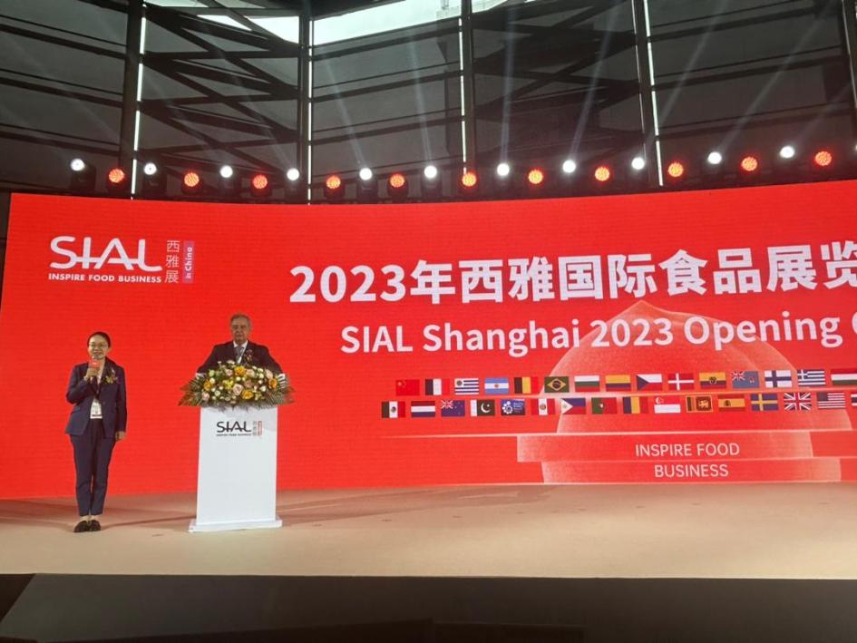 Shanghái Shanghái